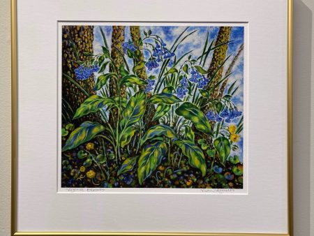 Virginia Bluebells Sale