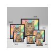 Colorful Tabby Cat Framed Canvas Art | Perfect Birthday & Christmas Gifts for Cat Lovers | Vibrant Home Decor Piece Online Hot Sale