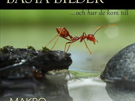 Fotografernas bästa bilder - Makro on Sale