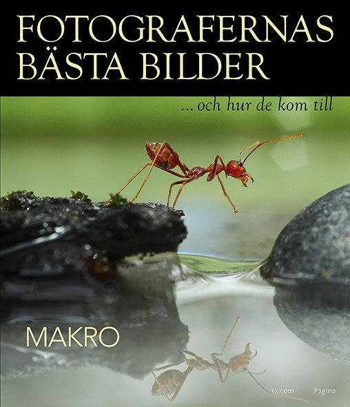 Fotografernas bästa bilder - Makro on Sale