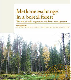 Methane exchange in a boreal forest on Sale