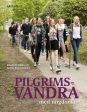 Pilgrimsvandra med ungdomar Online Sale